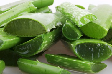 aloe vera