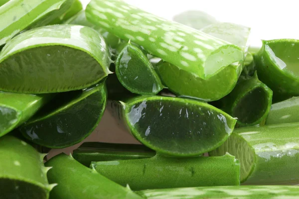 Aloe vera — Foto Stock