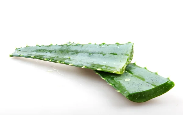 Aloe vera — Fotografia de Stock