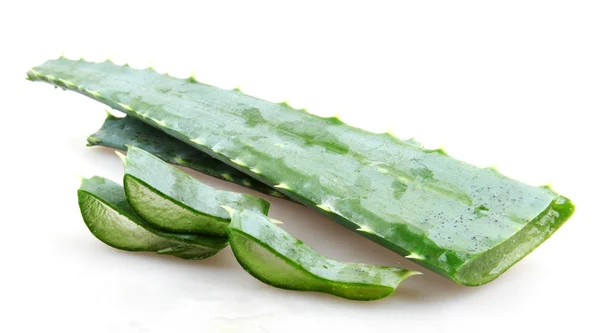 Aloe vera — Fotografia de Stock