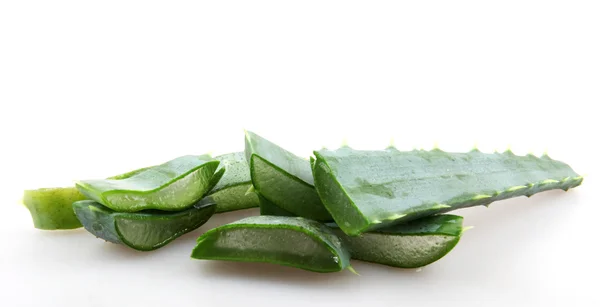 Aloe vera — Foto de Stock