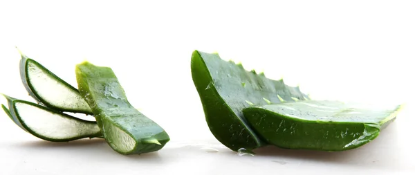 Aloe Vera — Stockfoto