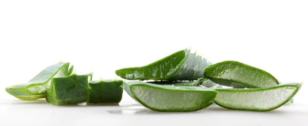 Aloe vera — Fotografia de Stock