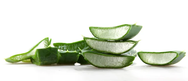 Aloe vera — Fotografia de Stock