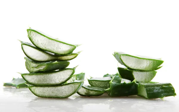 Aloe vera — Stok fotoğraf