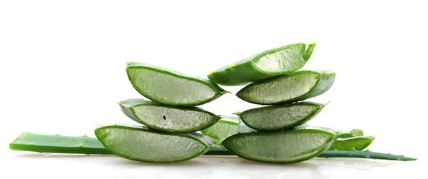 Aloe vera — Foto Stock