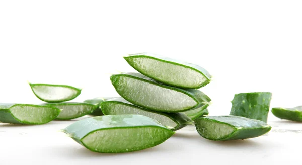 Aloe vera — Stok fotoğraf