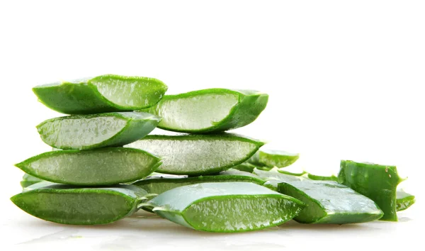 Aloe vera — Fotografia de Stock