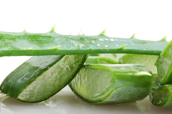 Aloe vera — Stock Photo, Image