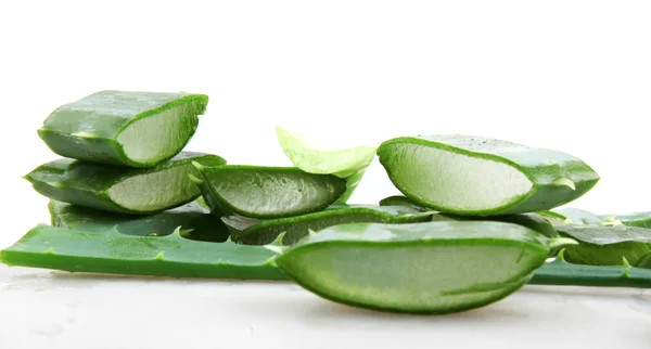 Aloe vera — Fotografia de Stock