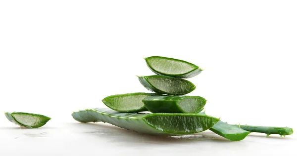 Aloe vera bitkisi — Stok fotoğraf