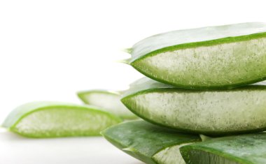 aloe vera bitkisi