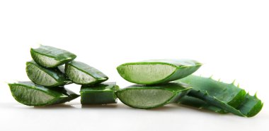 aloe vera bitkisi