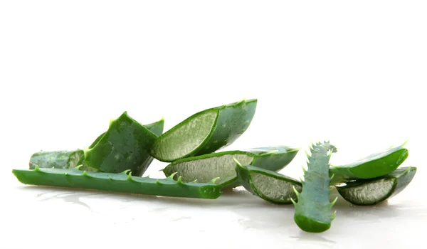 Φυτό aloe vera — Φωτογραφία Αρχείου