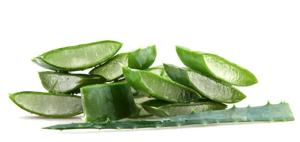 Aloe vera bitkisi — Stok fotoğraf