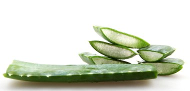 aloe vera bitkisi