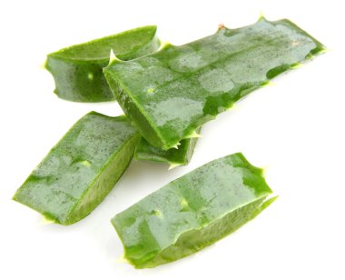 aloe vera bitkisi beyaz üzerine izole