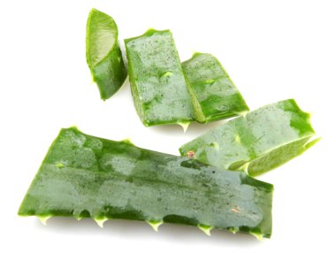 aloe vera bitkisi beyaz üzerine izole