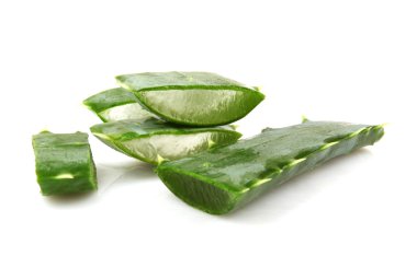 aloe vera bitkisi beyaz üzerine izole
