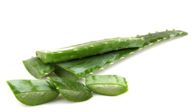aloe vera bitkisi beyaz üzerine izole