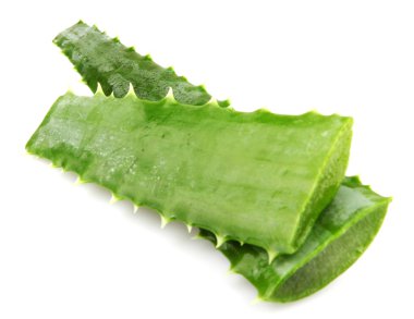 aloe vera bitkisi beyaz üzerine izole