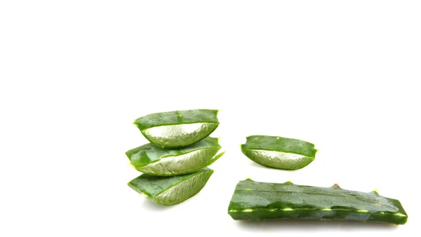 Planta aloe vera isolado em branco — Fotografia de Stock