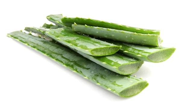 Pianta di aloe vera isolata su bianco — Foto Stock