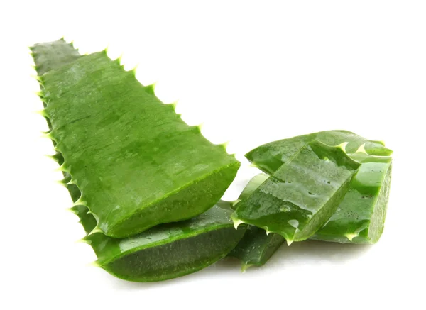 Planta de aloe vera aislada en blanco — Foto de Stock