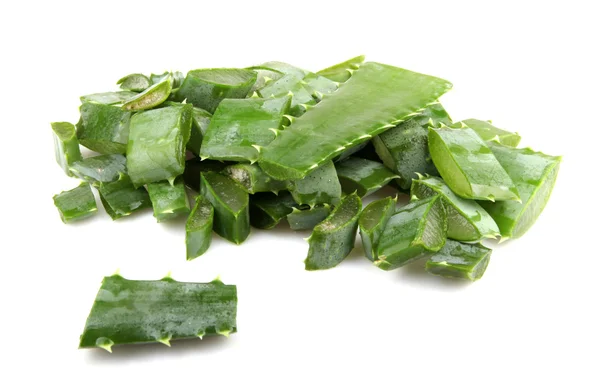 Aloe Vera Pflanze isoliert auf weiß — Stockfoto