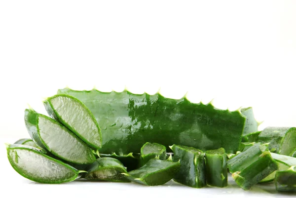 Aloe vera bitkisi beyaz üzerine izole — Stok fotoğraf