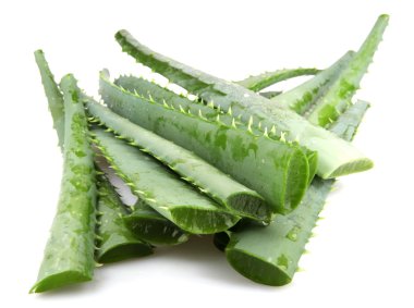 aloe vera bitkisi beyaz üzerine izole