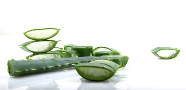 aloe vera bitkisi beyaz üzerine izole
