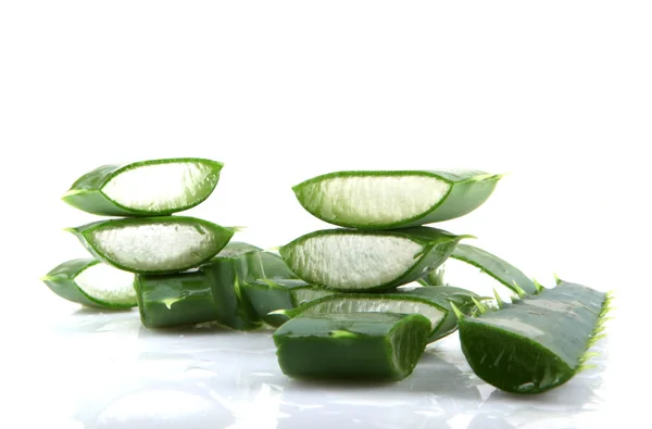 Aloe vera bitkisi beyaz üzerine izole — Stok fotoğraf