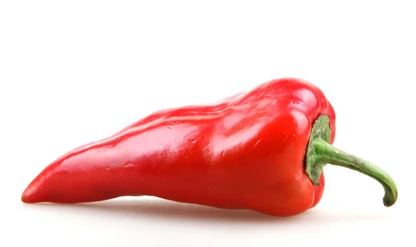 Paprika Isolata su Bianco — Foto Stock