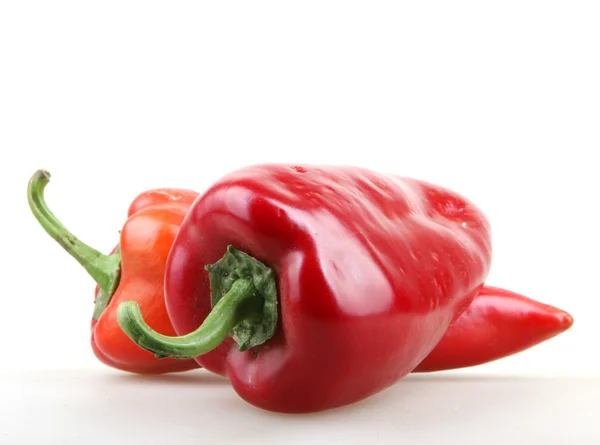 Paprika isolerad på vit — Stockfoto