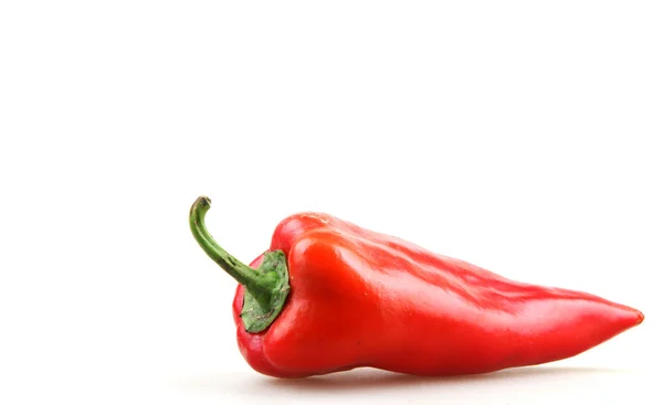 Paprika Isolata su Bianco — Foto Stock