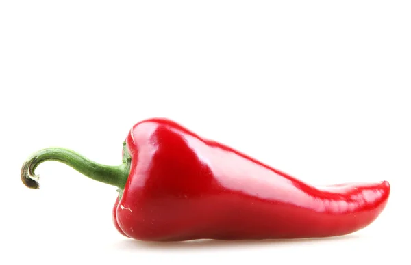 Paprika Isolata su Bianco — Foto Stock