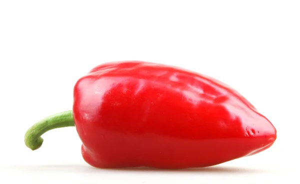 Paprika Isolata su Bianco — Foto Stock