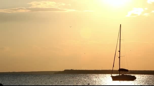 Prachtige zonsondergang boven de zee — Stockvideo