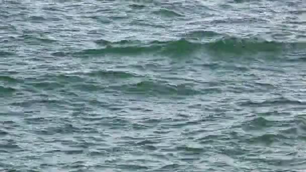 Синее море с волнами — стоковое видео