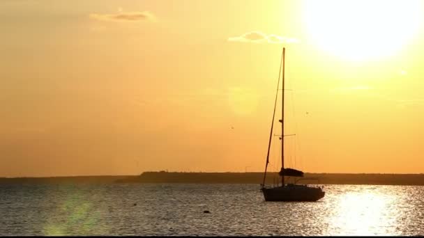 Prachtige zonsondergang boven de zee — Stockvideo