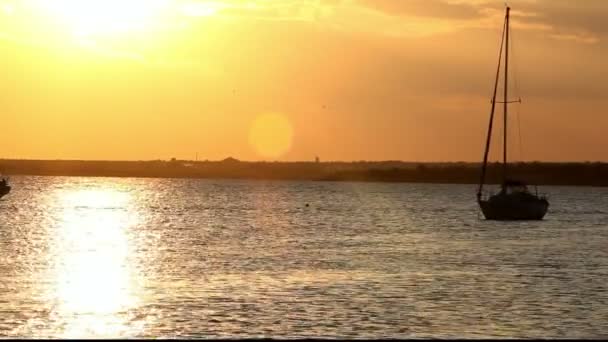 Beau coucher de soleil au-dessus de la mer — Video