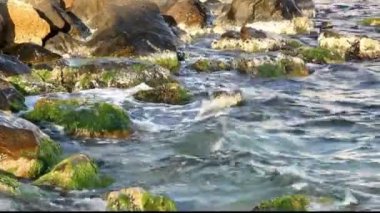 Dalgalı mavi deniz