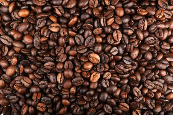 Coffee Beans — Stock Photo, Image