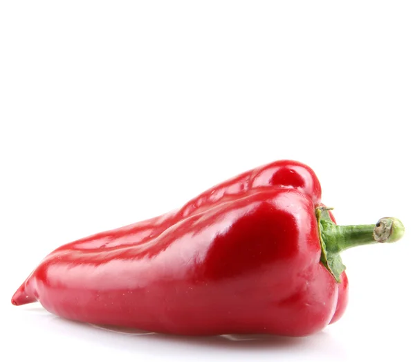 Piros chili paprika fehér alapon — Stock Fotó
