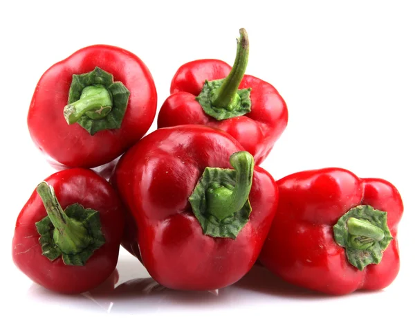 Röd chili paprika på vit bakgrund — Stockfoto