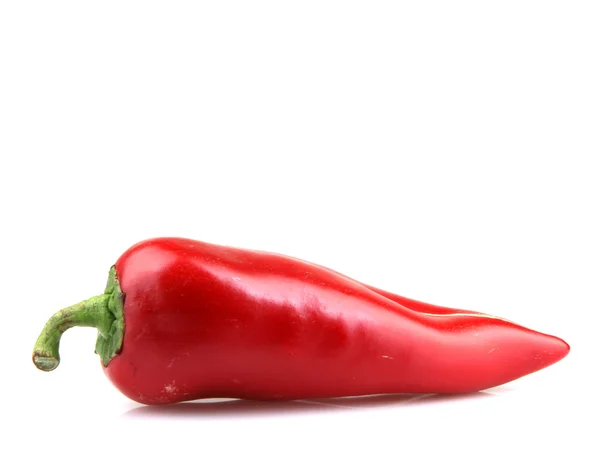 Piros chili paprika fehér alapon — Stock Fotó