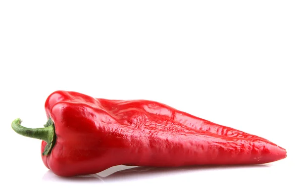 흰 배경에 있는 붉은 칠리 고추 — 스톡 사진