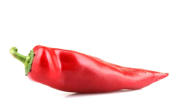 Röd chili paprika på vit bakgrund — Stockfoto