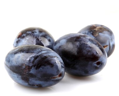 Beyaz arkaplanda erikler